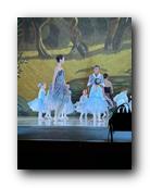 IMG_1741.jpg