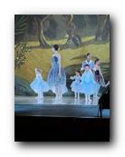 IMG_1747.jpg