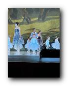 IMG_1748.jpg