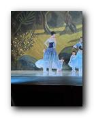 IMG_1756.jpg