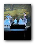 IMG_1761.jpg