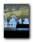 IMG_1768.jpg