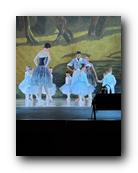 IMG_1769.jpg