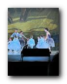 IMG_1773.jpg