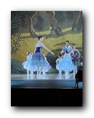 IMG_1779.jpg