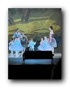 IMG_1780.jpg