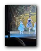 IMG_1781.jpg