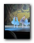 IMG_1782.jpg