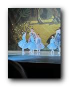 IMG_1783.jpg