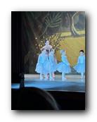 IMG_1784.jpg