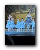 IMG_1785.jpg