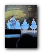 IMG_1795.jpg
