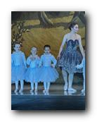 IMG_1799.jpg
