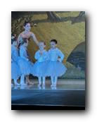 IMG_1803.jpg