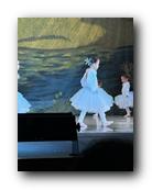 IMG_1807.jpg