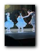 IMG_1808.jpg