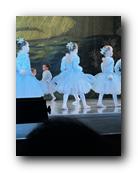IMG_1809.jpg