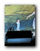 IMG_1811.jpg