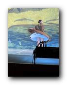 IMG_1830.jpg