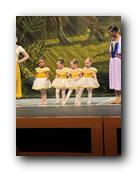 IMG_2246.jpg
