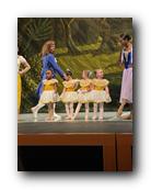 IMG_2247.jpg