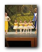 IMG_2249.jpg