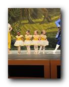 IMG_2251.jpg