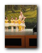 IMG_2253.jpg