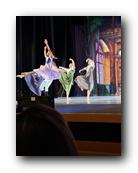 IMG_2344.jpg