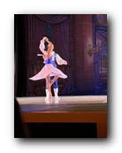 IMG_2389.jpg