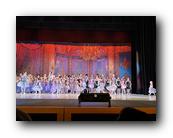 IMG_2565.jpg