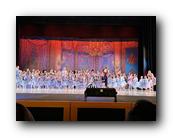 IMG_2592.jpg