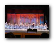 IMG_2594.jpg
