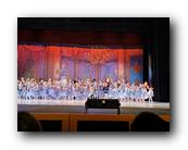 IMG_2595.jpg