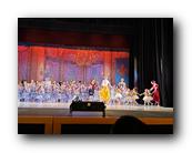 IMG_2602.jpg