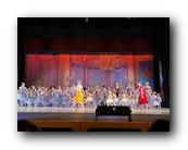 IMG_2605.jpg