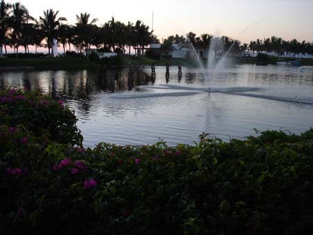 DSC00720