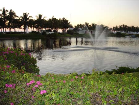 DSC00722