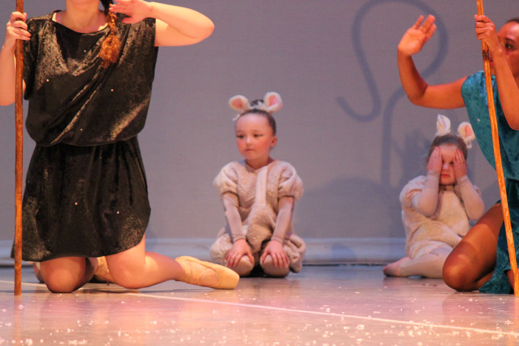 %_tempFileNameIMG_5259%