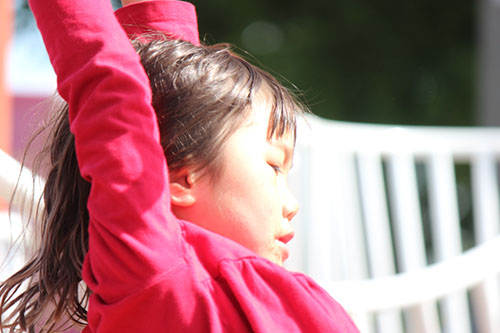 IMG_0539