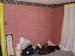 MasterSuite3