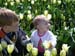 DSC00882-041706