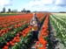 DSC00884-041706
