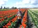 DSC00885-041706