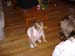 DSC00904-051806