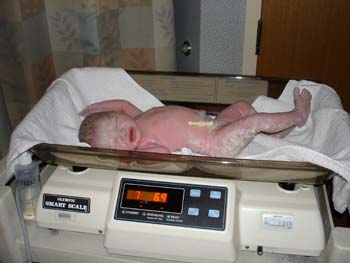 12 arya being weighed in pounds again