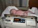 11 arya being weighed in pounds