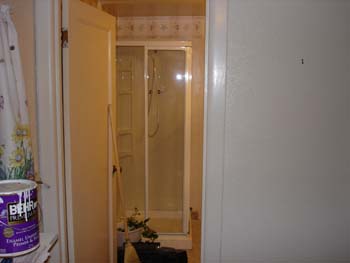 upstairsbathnewshower1