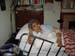 PICT0079