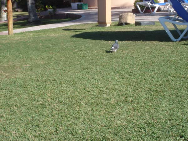 DSC01132